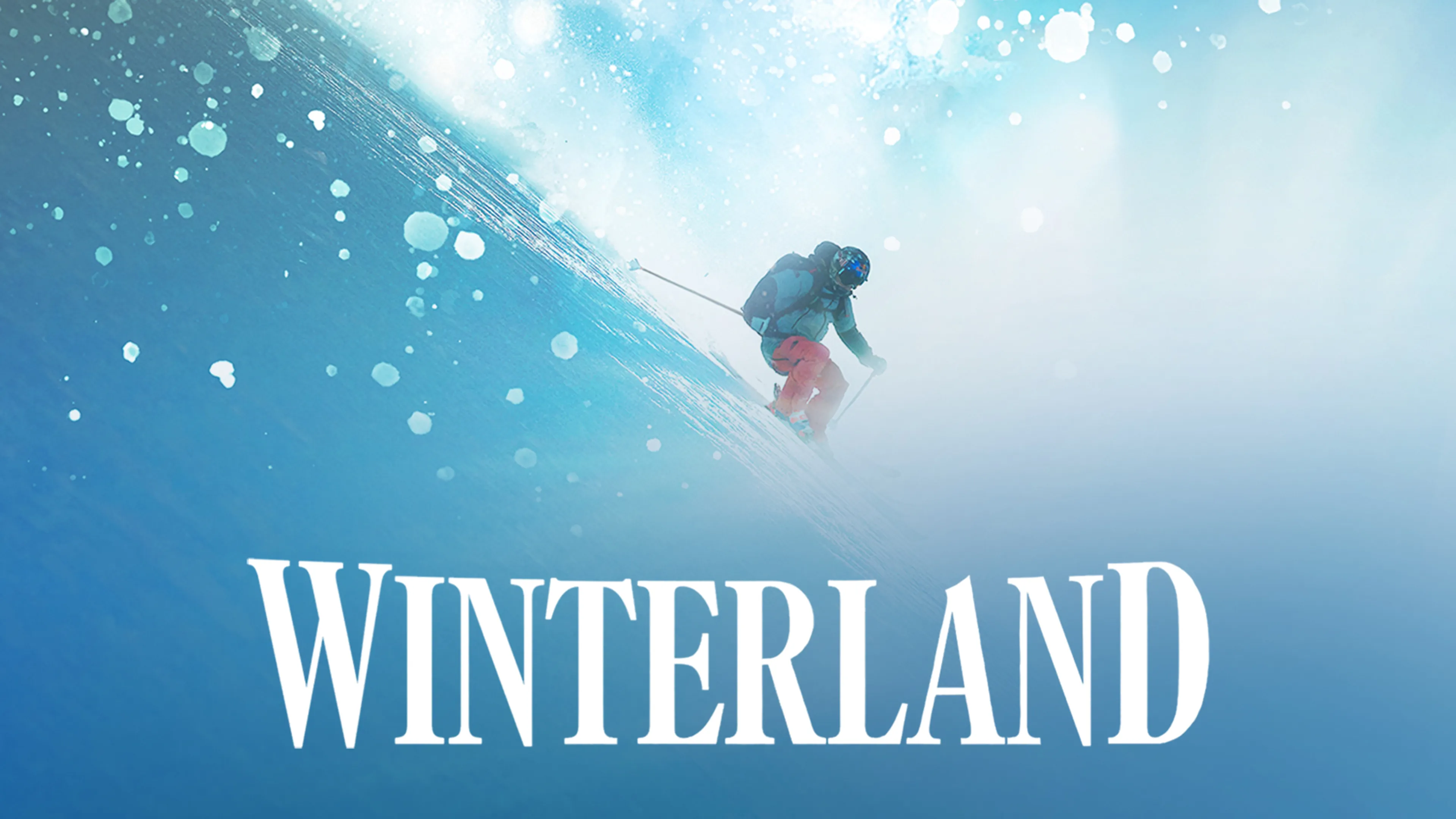 Winterland poster